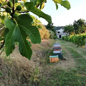 naturaliterre-bnb-microfattoria.emilia-romagnahotels.net/